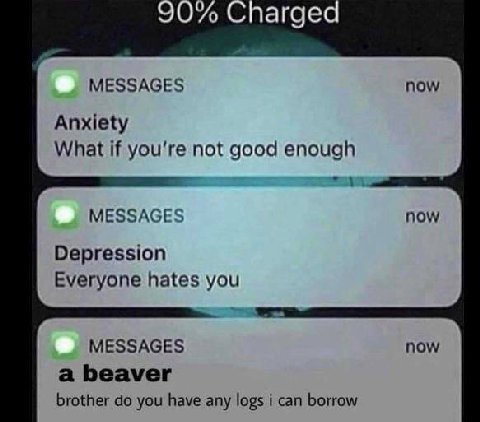 агдес MESSAGES now Anxiety What if you're not good enough MESSAGES now Depression Everyone hates you MESSAGES now a beaver brother you have any logs i can borrow
