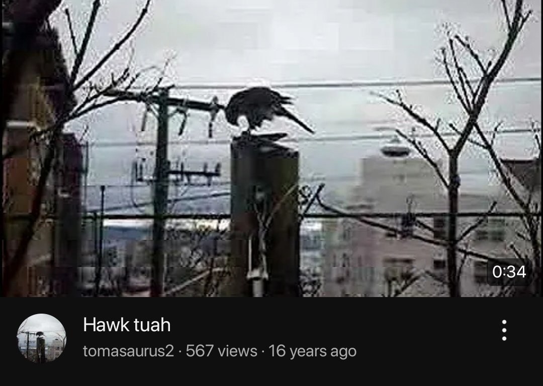 ase i i) Hawk tuah tomasaurus2 567 views 16 years ago