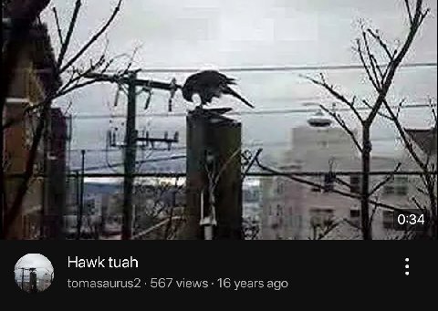 ase i i) Hawk tuah tomasaurus2 567 views 16 years ago