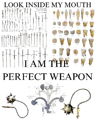 PERFECT WEAPON