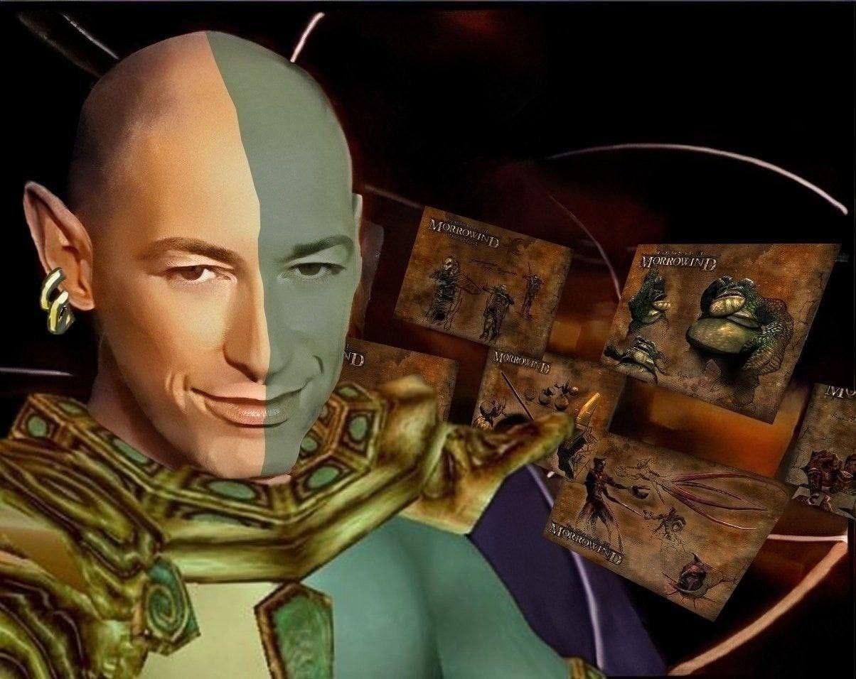 we will post TES related memes until we get CHIM