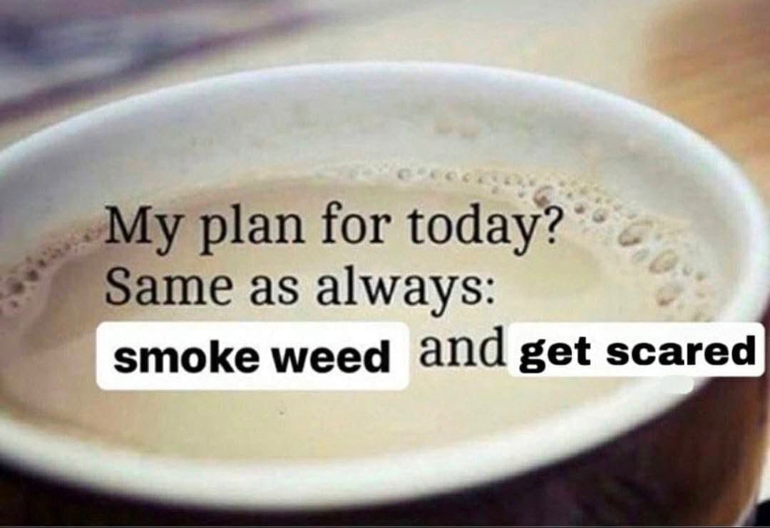 plan for today? Same as always: smoke weed and get scared