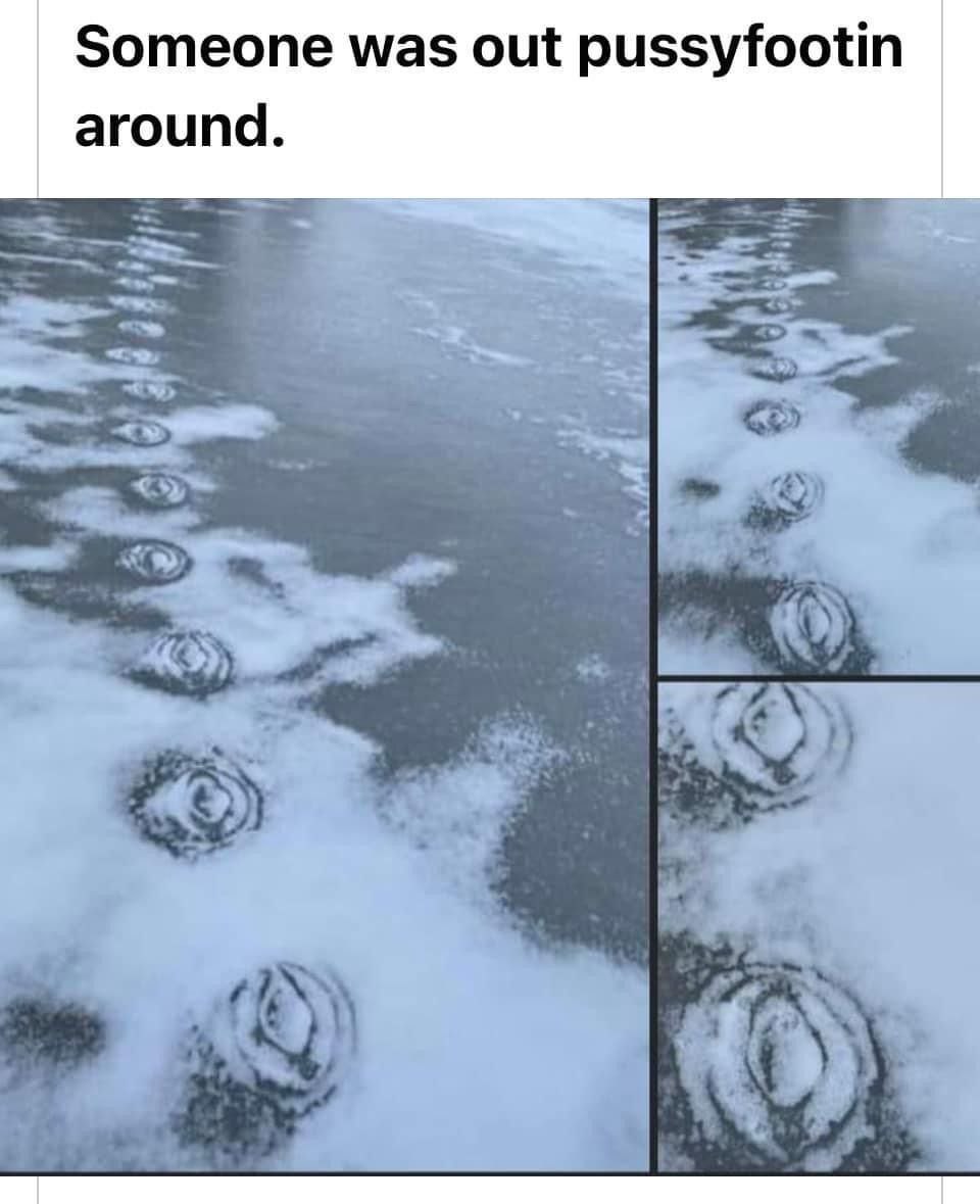 Someone was out pussyfootin around