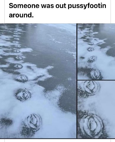 Someone was out pussyfootin around