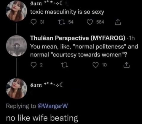 gam masculinity is so sexy С) 31 54 564 Thuléan Perspective (MYFAROG) You mean, like, "normal politeness" and normal "courtesy towards women"? 2 10 Replying to @WargarW no like wife beating