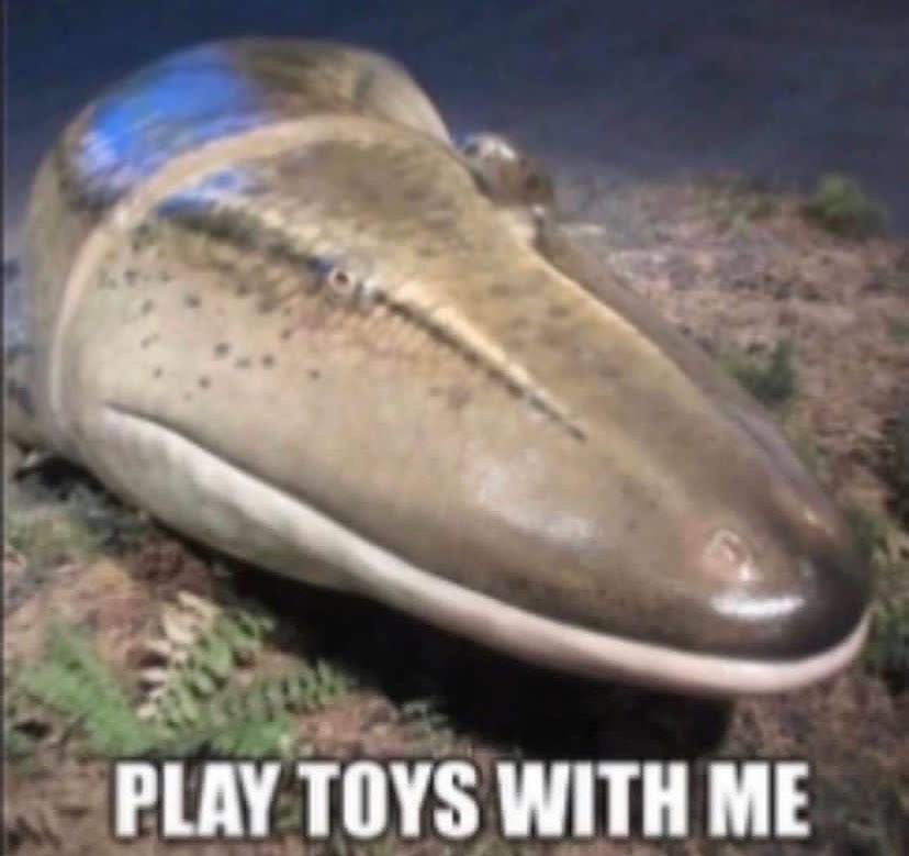 PLAY TOYS WITH ME