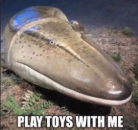 PLAY TOYS WITH ME