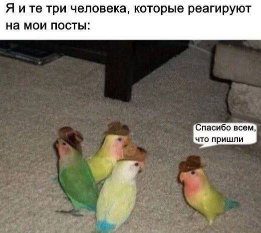 Я ите три человека, которые реагируют на мои посты: Спасибо всем, что пришли