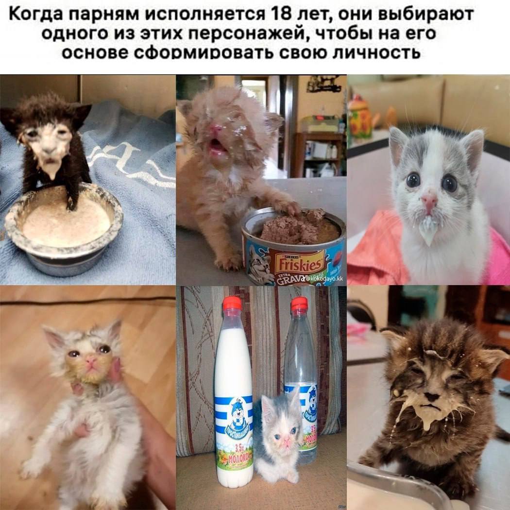 Когда парням исполняется 18 лет, они выбирают одного из этих персонажей, чтобы на его основе сформировать свою личность 4