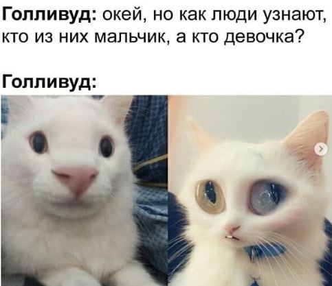 Голливуд: окей, но как люди узнают, кто из них мальчик, а кто девочка? Голливуд