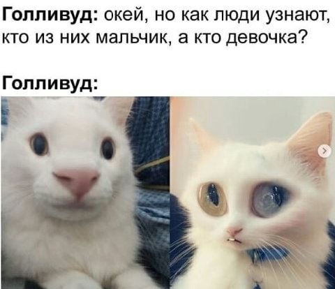Голливуд: окей, но как люди узнают, кто из них мальчик, а кто девочка? Голливуд