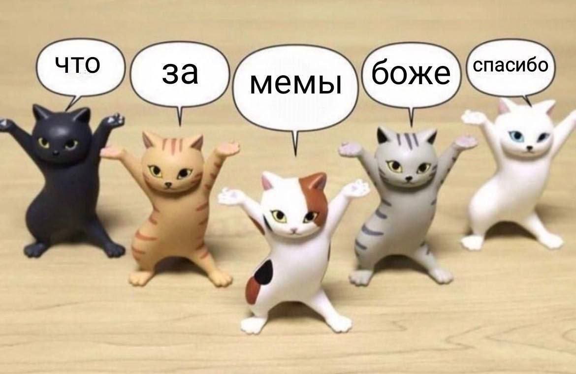 Типичные подписчики кекельбана