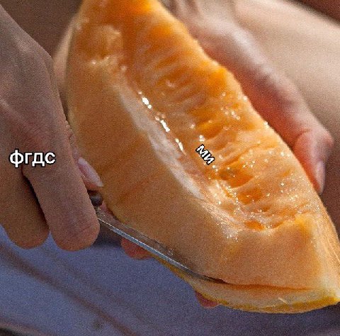 фгдс