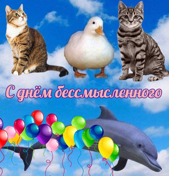 у к 4 vis Matta