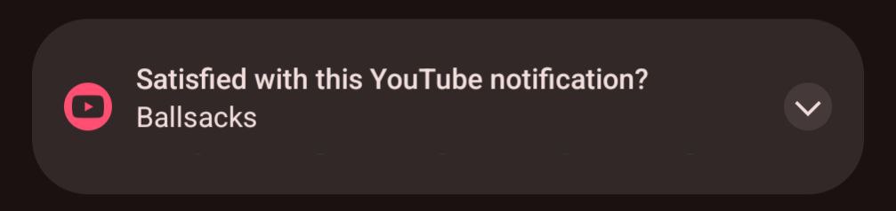 Satisfied with this YouTube notification? Ballsacks