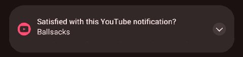 Satisfied with this YouTube notification? Ballsacks