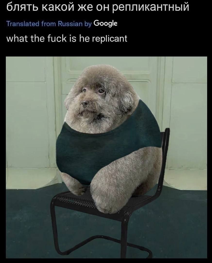 блять какой же он репликантный Translated from Russian Google what the fuck is he replicant A