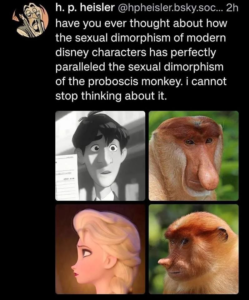 В. heisler have you ever thought about how the sexual dimorphism of modern disney characters has perfectly paralleled the sexual dimorphism of the proboscis monkey. i cannot stop thinking about it.