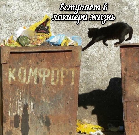 ступаетив A А 4