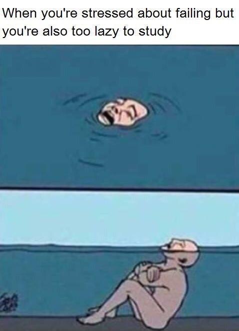 When you're stressed about failing but you're also too lazy to study