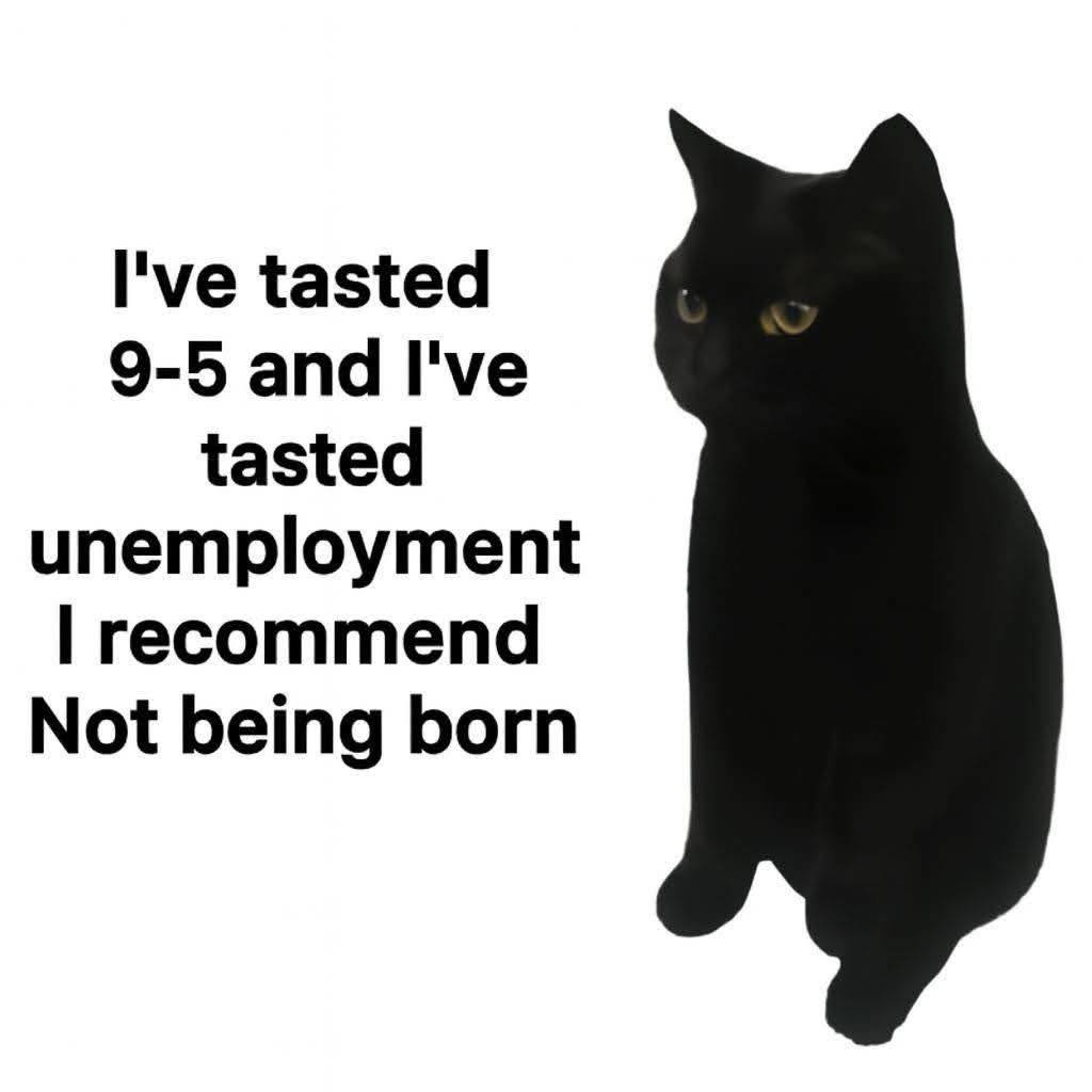 I've tasted 9-5 and I've tasted unemployment recommend Not being born