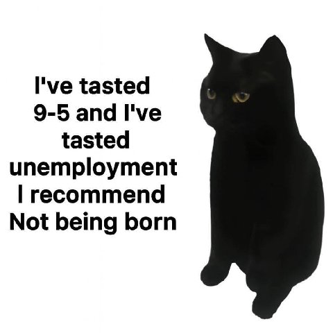 I've tasted 9-5 and I've tasted unemployment recommend Not being born