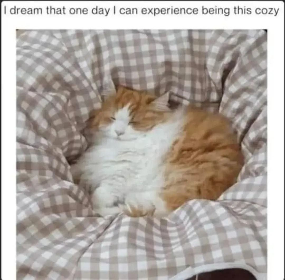 dream that one day can experience being this cozy
