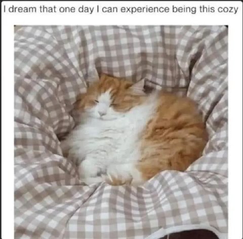 dream that one day can experience being this cozy