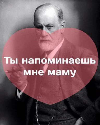 #вашинологи