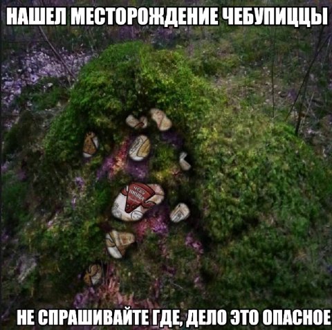 НАШЕЛ МЕСТОРОЖДЕНИЕ ЧЕБУПИЦЦЫ НЕ СПРАШИВАЙТЕ ГДЕ ДЕЛО ЭТО ОПАСНОЕ