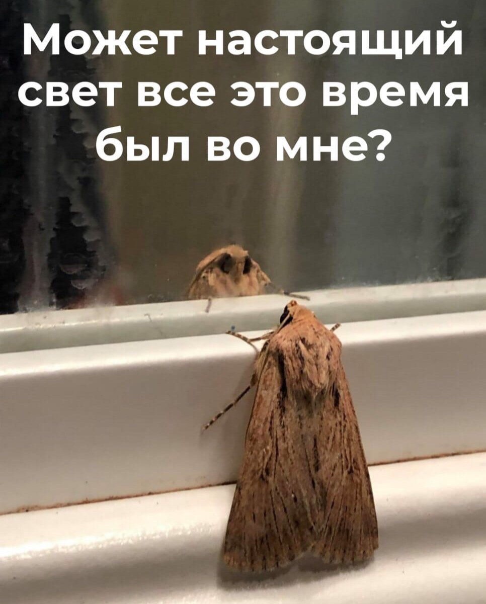 Может настоящий свет все это время был во мне?