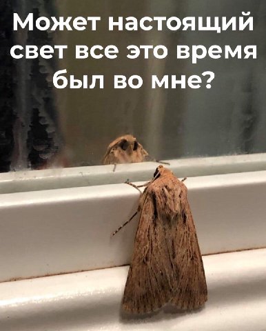 Может настоящий свет все это время был во мне?