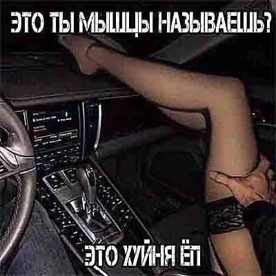 ЭТО ТЫ МЫШЦЫ НАЗЫВАЕШЬ?