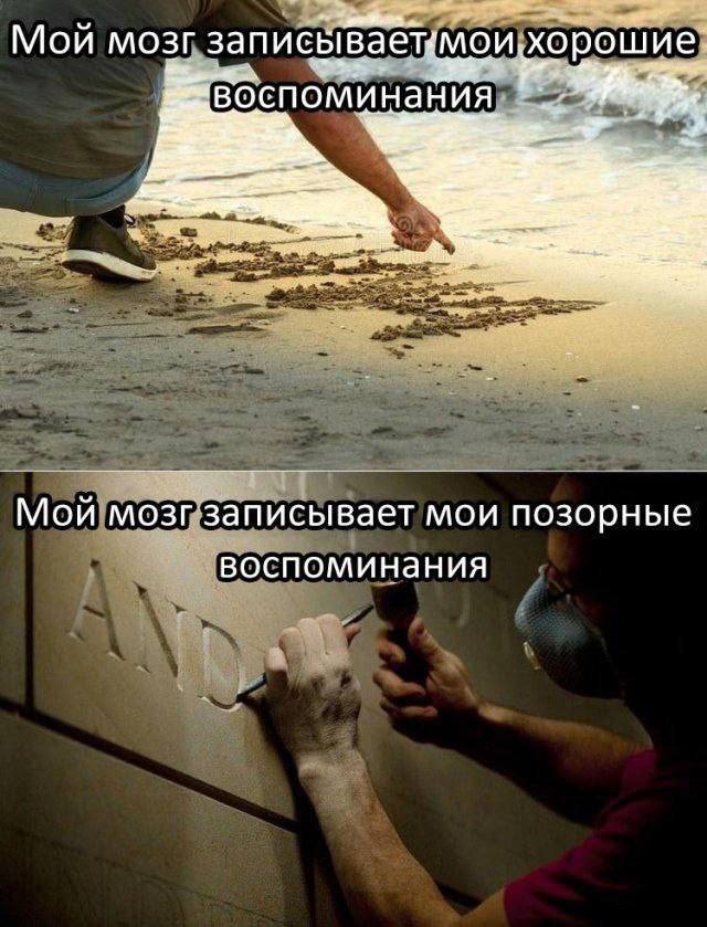 Мой мозг хорошие! воспоминания. Мой'мозизаписывает мои позорные воспоминания