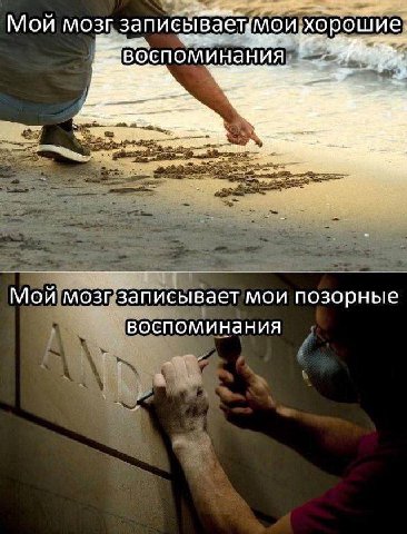 Мой мозг хорошие! воспоминания. Мой'мозизаписывает мои позорные воспоминания