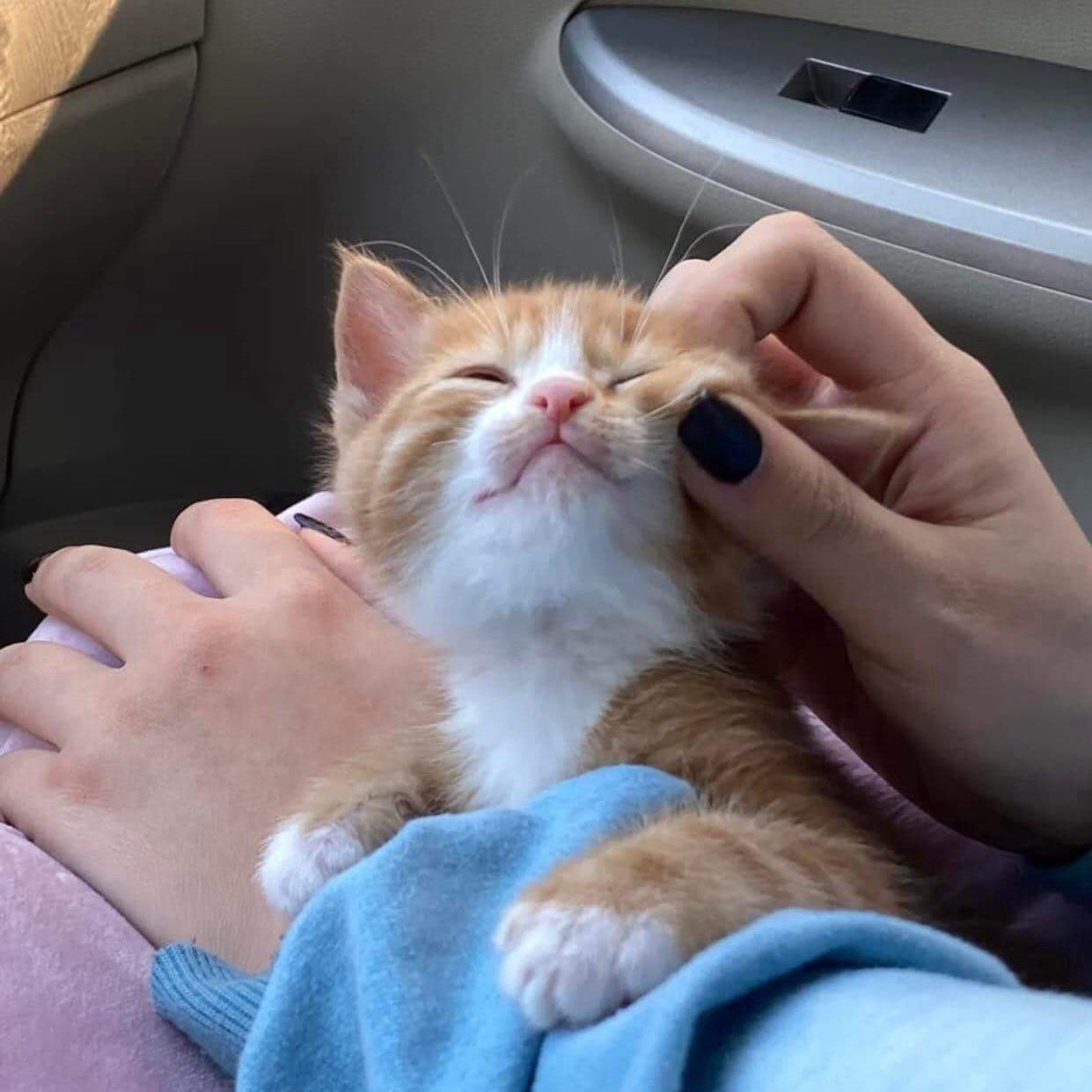 he