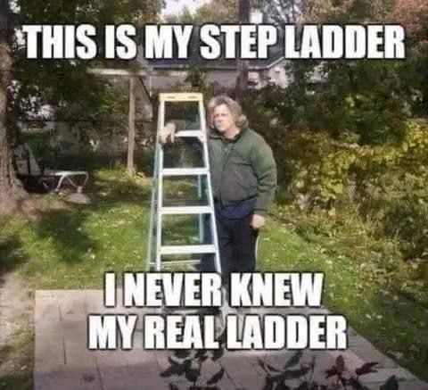 ‘THIS IS MY STEP LADDER NEVER KNEW REAL LADDER