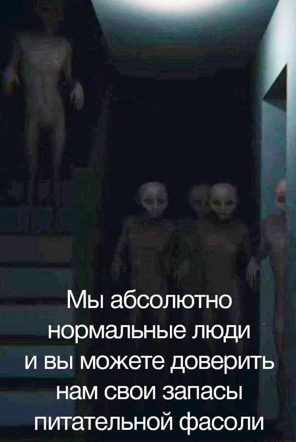 Мы абсолютно нормальные люди и вы можете доверить нам свои запасы питательной фасоли