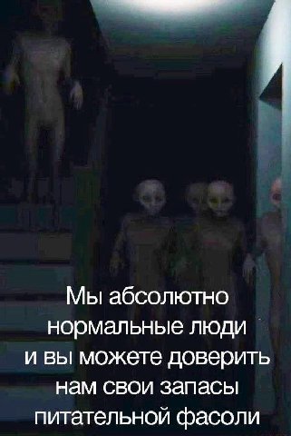 Мы абсолютно нормальные люди и вы можете доверить нам свои запасы питательной фасоли