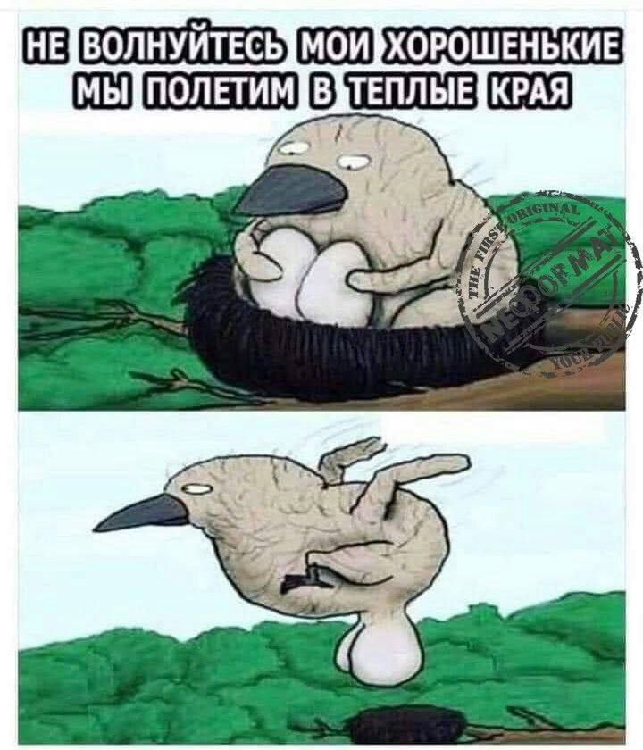 НЕУВОЛНУЙТЕСЬ]МОИ}ХОРОШЕНЬКИЕ КРАЯ,