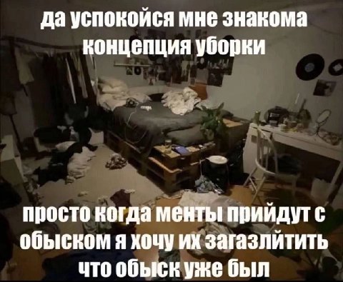 да успокойся мне знакома концепция уборки просто когда менты прийдут с обыском я хочу ихзагазлйтить что обыскуже был