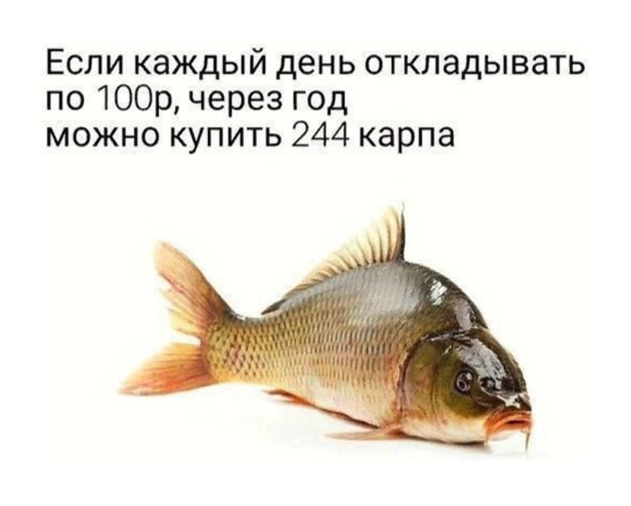 Если каждый день откладывать по через год можно купить 244 карпа