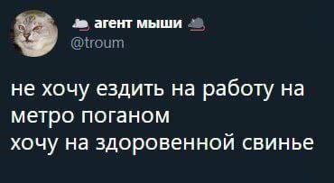 агент мыши не хочу ездить на работу на метро поганом хочу на здоровенной свинье
