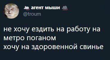 агент мыши не хочу ездить на работу на метро поганом хочу на здоровенной свинье