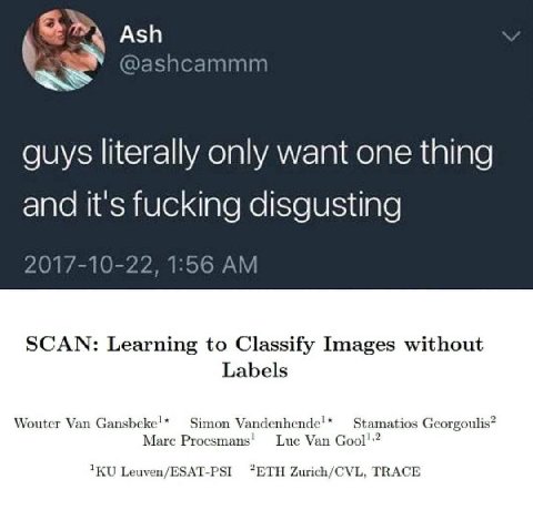 Ash aashcammm guys literally only want one thing and it's fucking disgusting 1 4 SCAN: Learning to Classify Images without Labels Wouter Van Gansbeke!* Simon Vandenhende!* Marc Luc Van ios Georgouli L
