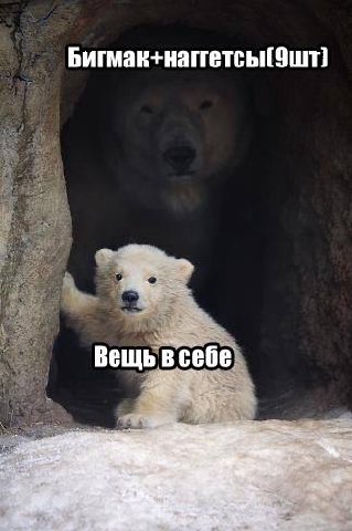 Бигмак+натетсы Вещьвсебе we