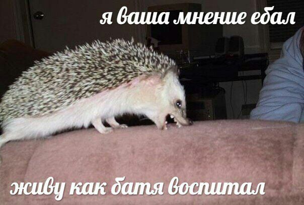 я баша мнение ебал 1 жий] как батя воспитал