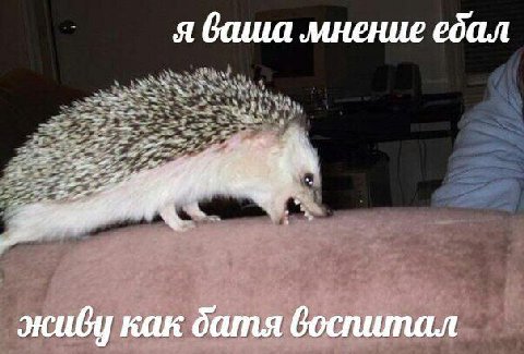 я баша мнение ебал 1 жий] как батя воспитал