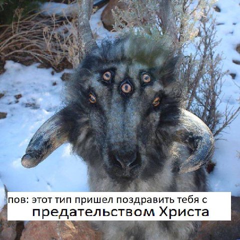 ПОВ. ЭТОТ тип пришел поздравить тебя с предател ьством Христа