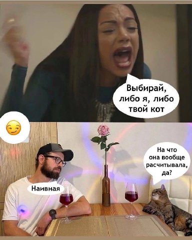 Выбирай, либо я, либо ТВОЙ KOT На что она вообще расчитывала, да? i\ Наивная